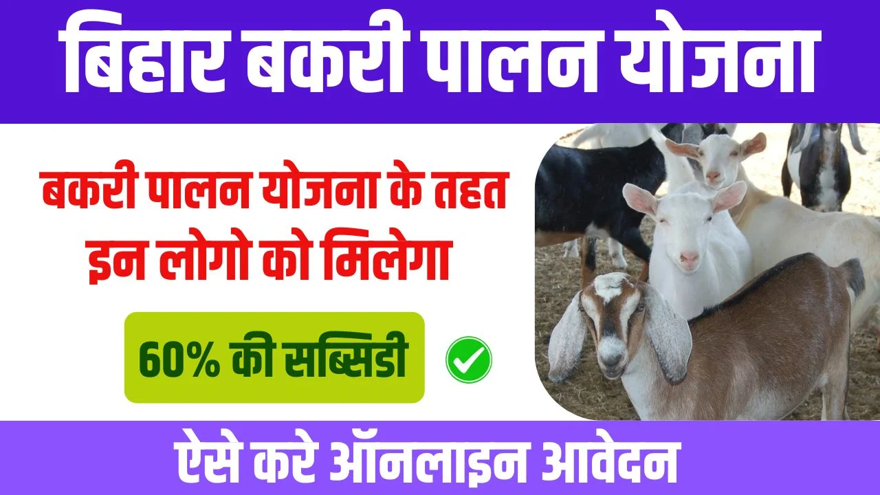 Bihar Bakri Palan Yojana